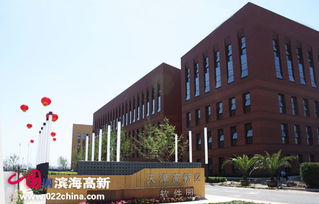 软件企业337家领跑市场，滨海新区引领全市软件外包服务新篇章